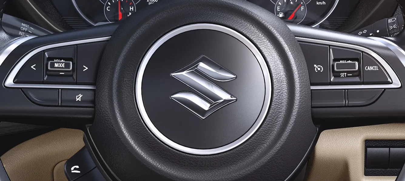 Cruise Control And Steering Mounted Controls