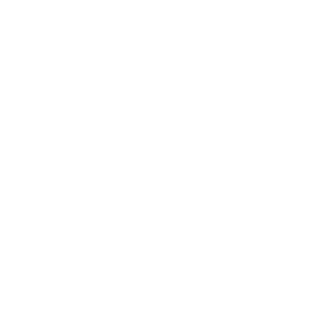 100% Maruti Suzuki Approved